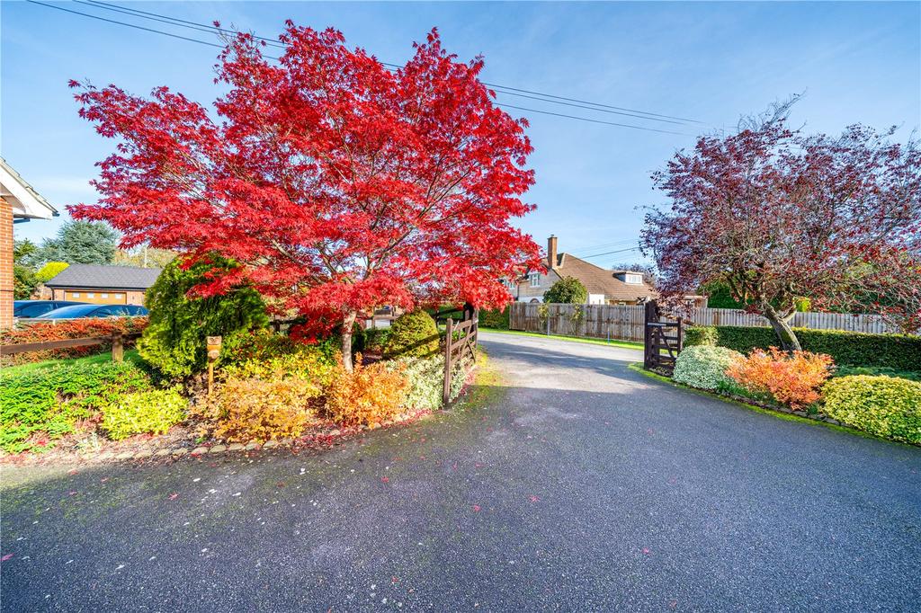 Driveway