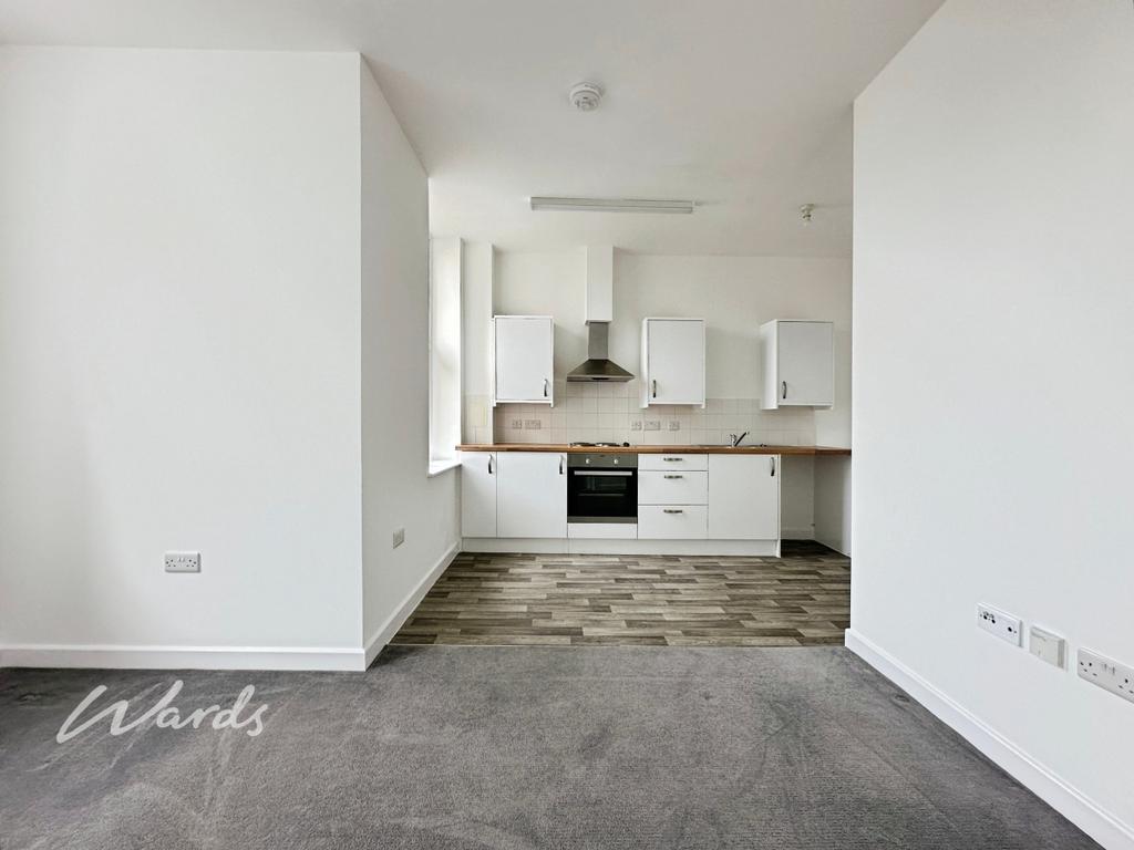 Living/Kitchen Area
