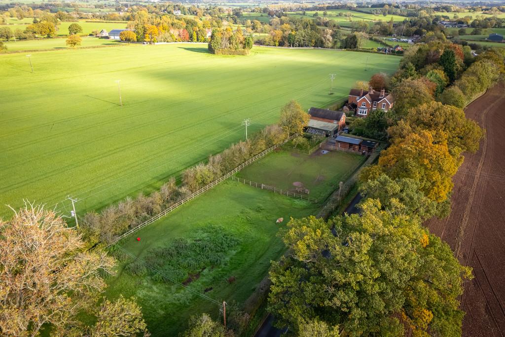 Paddocks and Surrounding