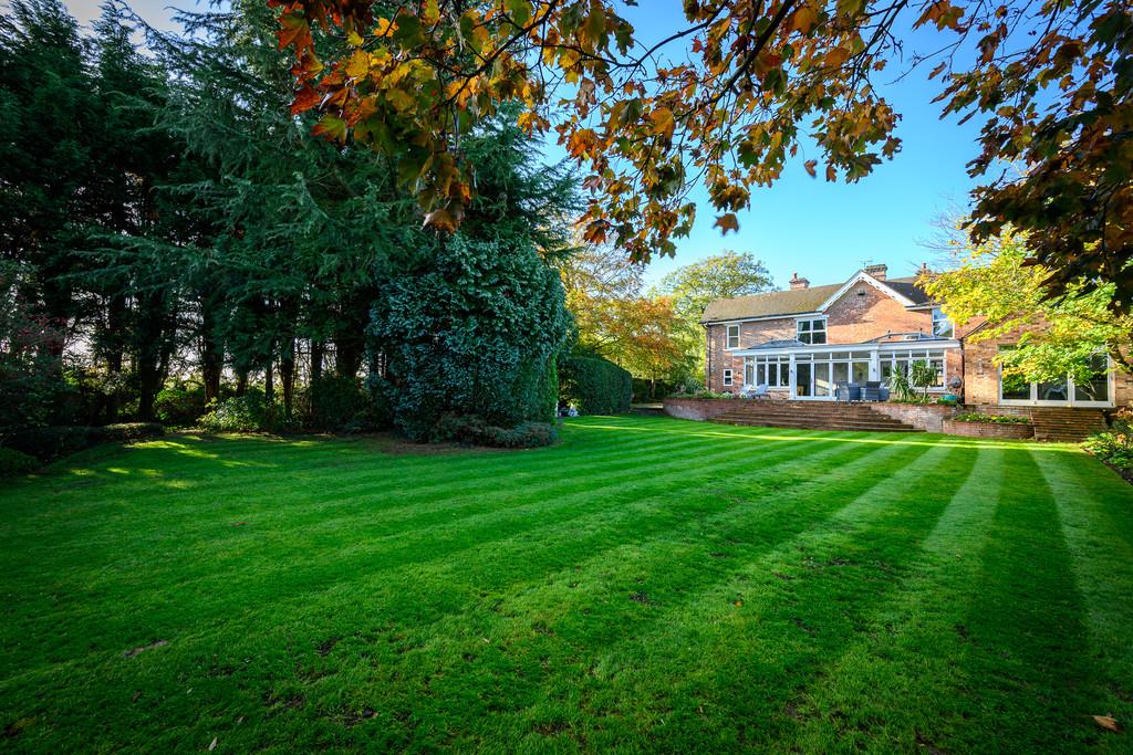Rear of Property