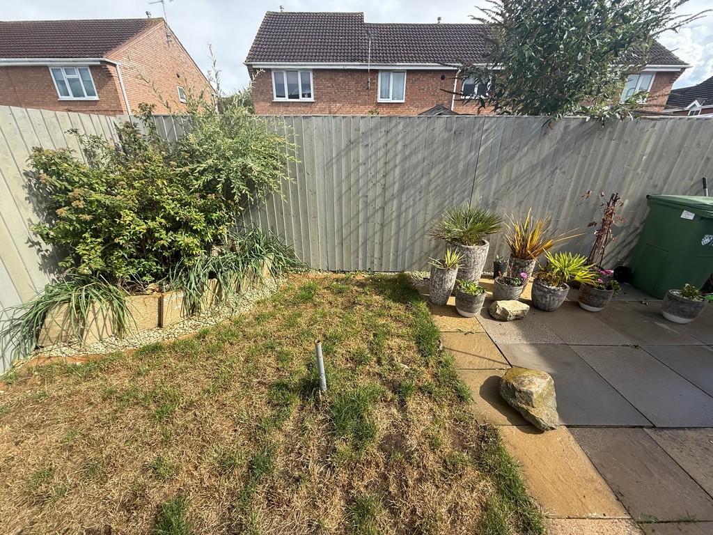 Garden 4