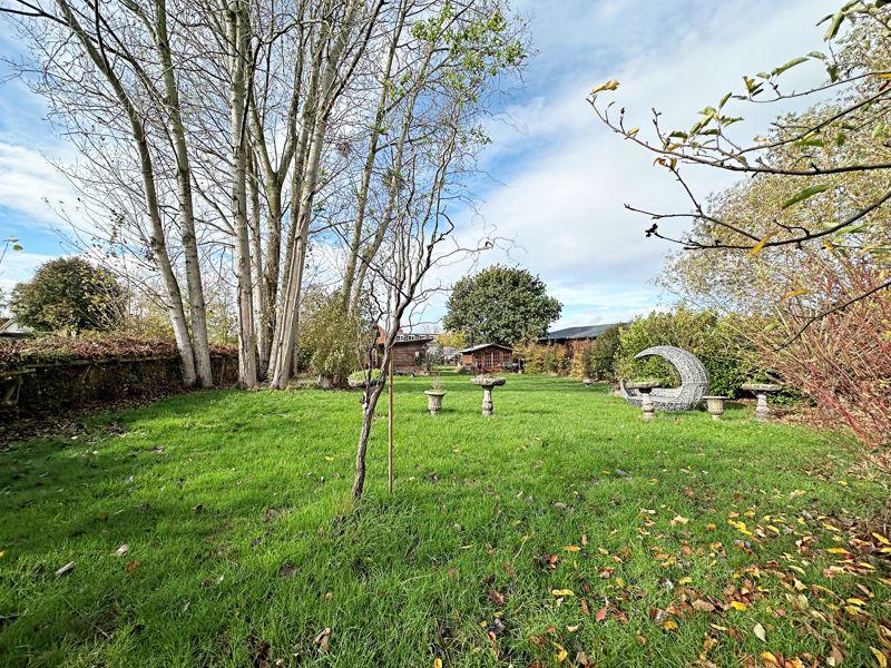 Garden 2