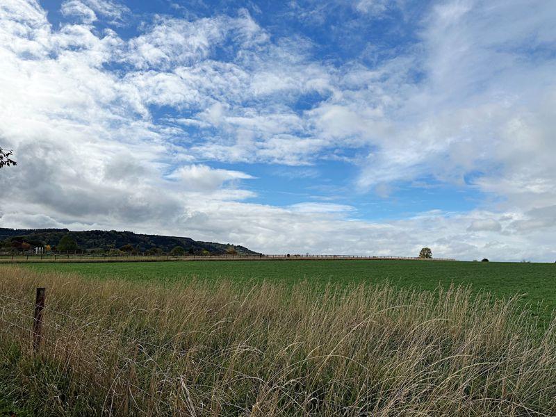 Fields to front