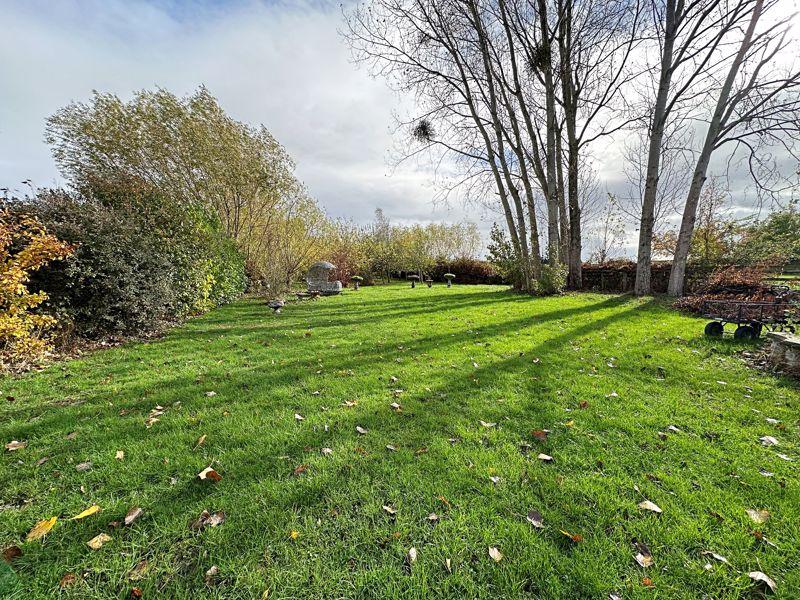 Garden 1