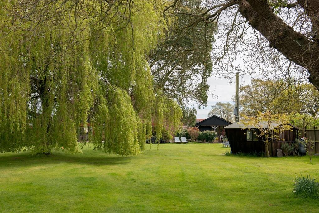 Paddock.