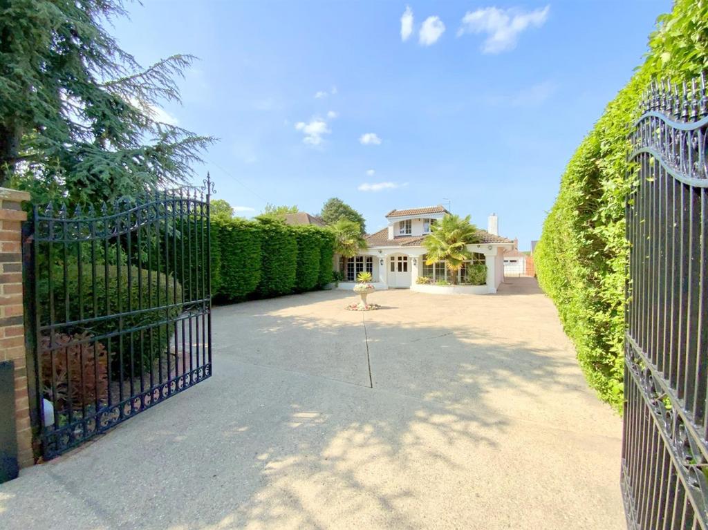 Resized IMG 8920..jpg