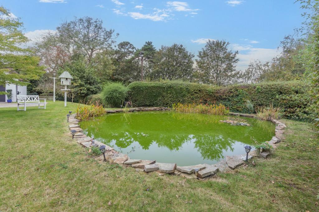 Garden Pond