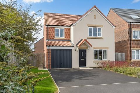 undefined, Amble, Morpeth NE65