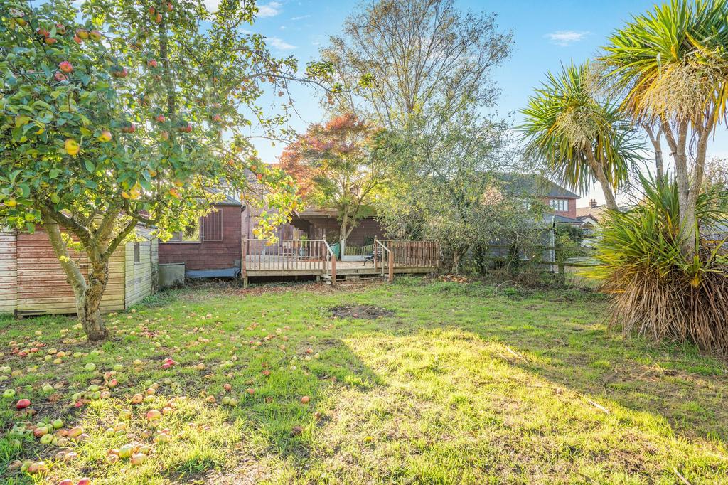 Garden to rear