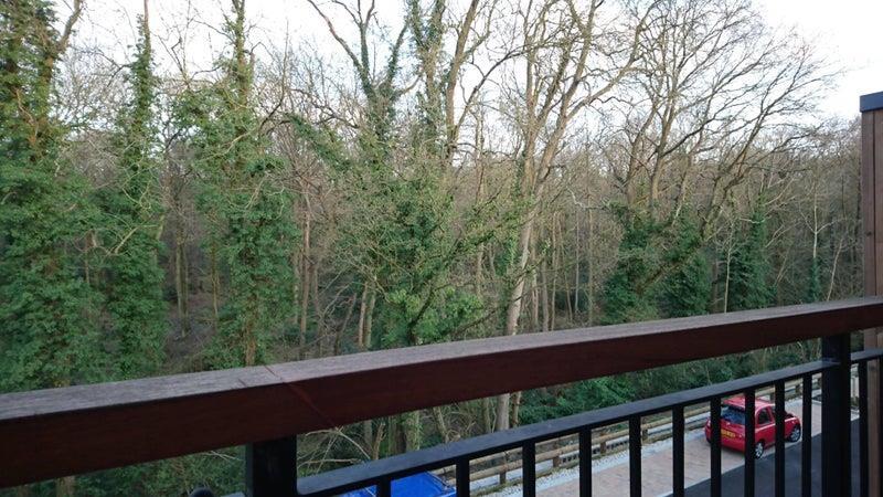 89806770.jpg
