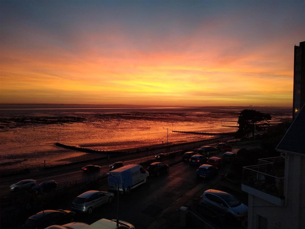 IMG 20211229 161911982.jpg