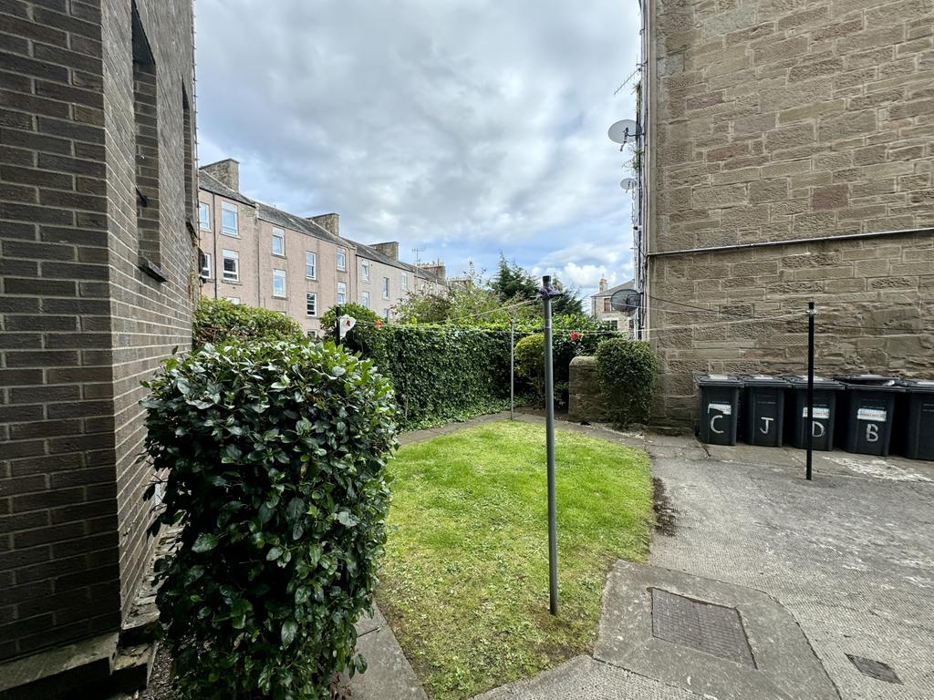 Back Garden