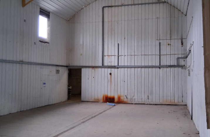 Photo 6