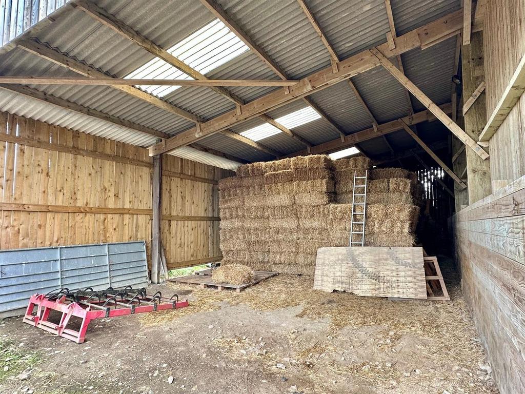 6.jpg