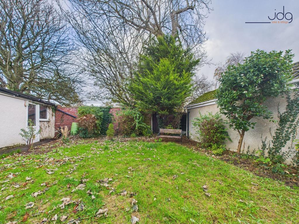 Back Garden