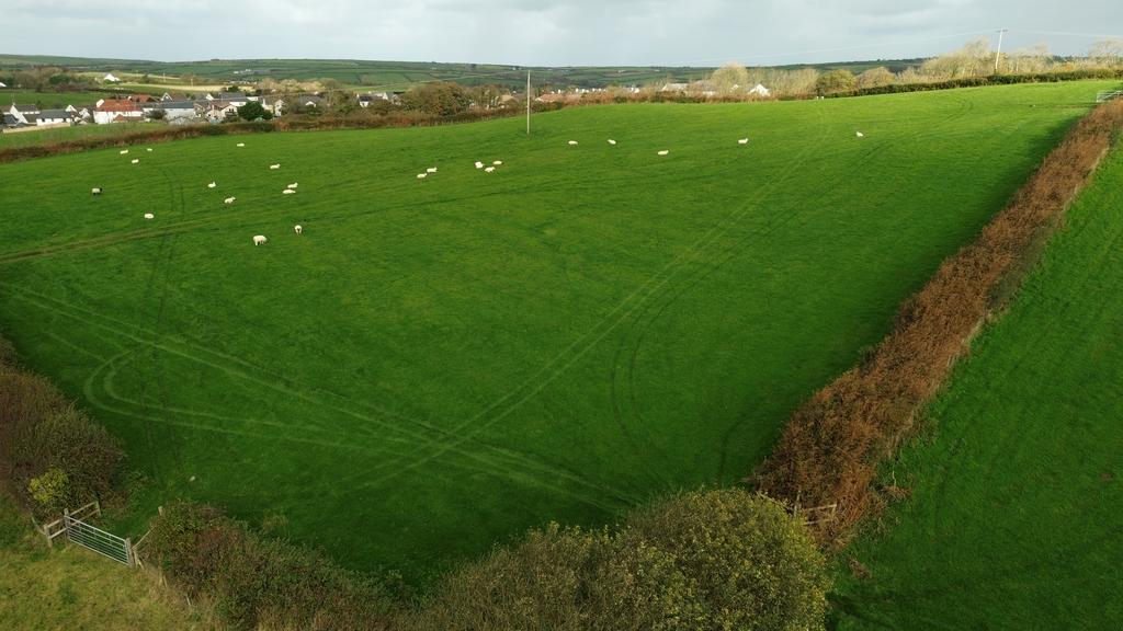 The Land