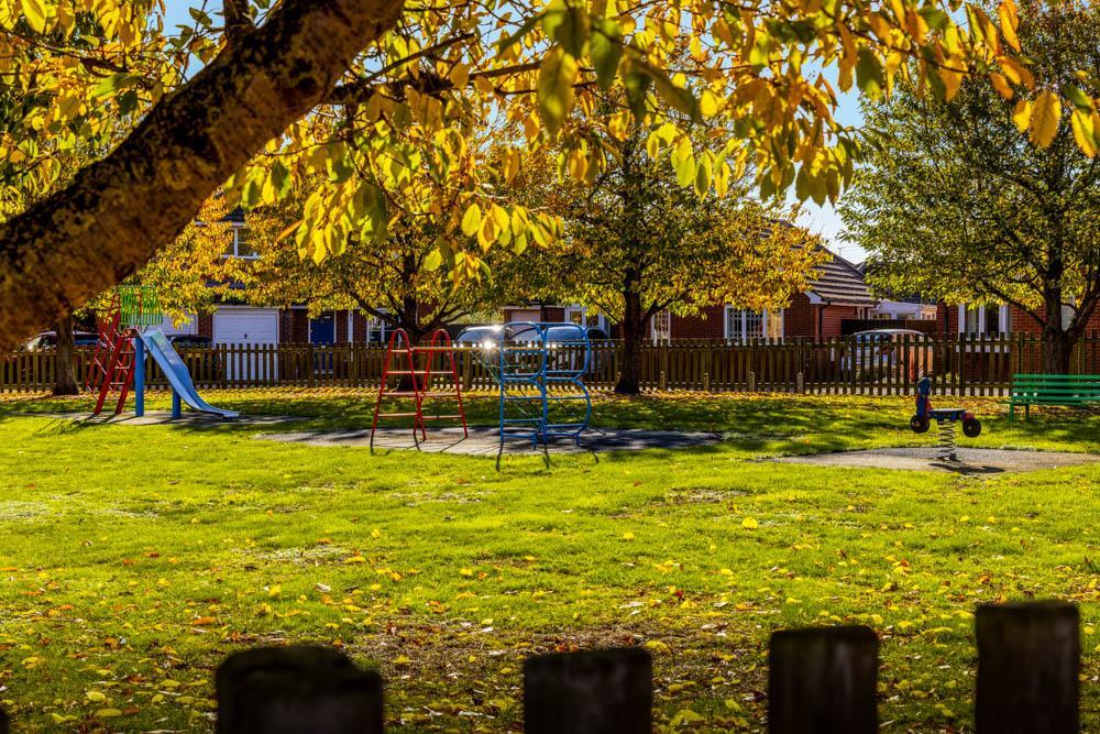 Play Area