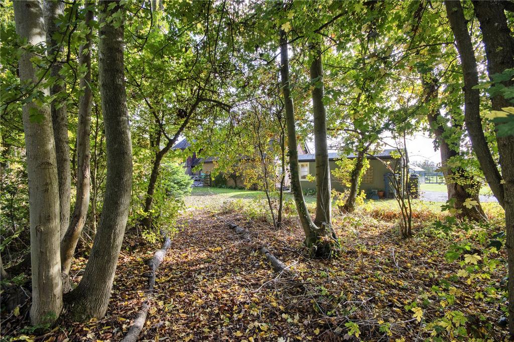 Woodland