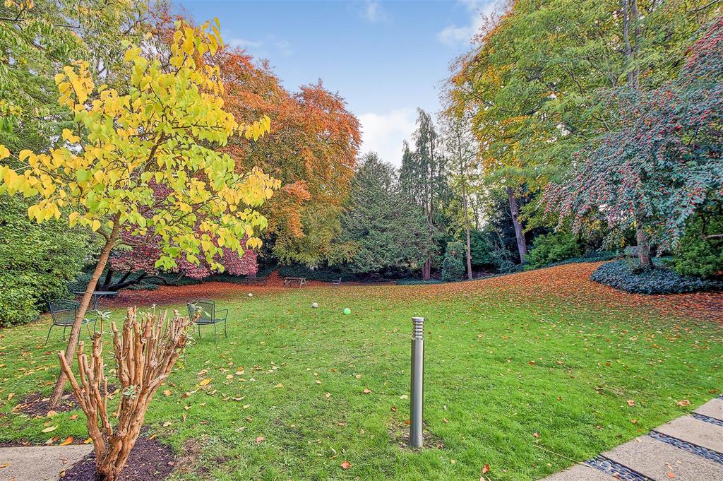 Garden 5.jpg