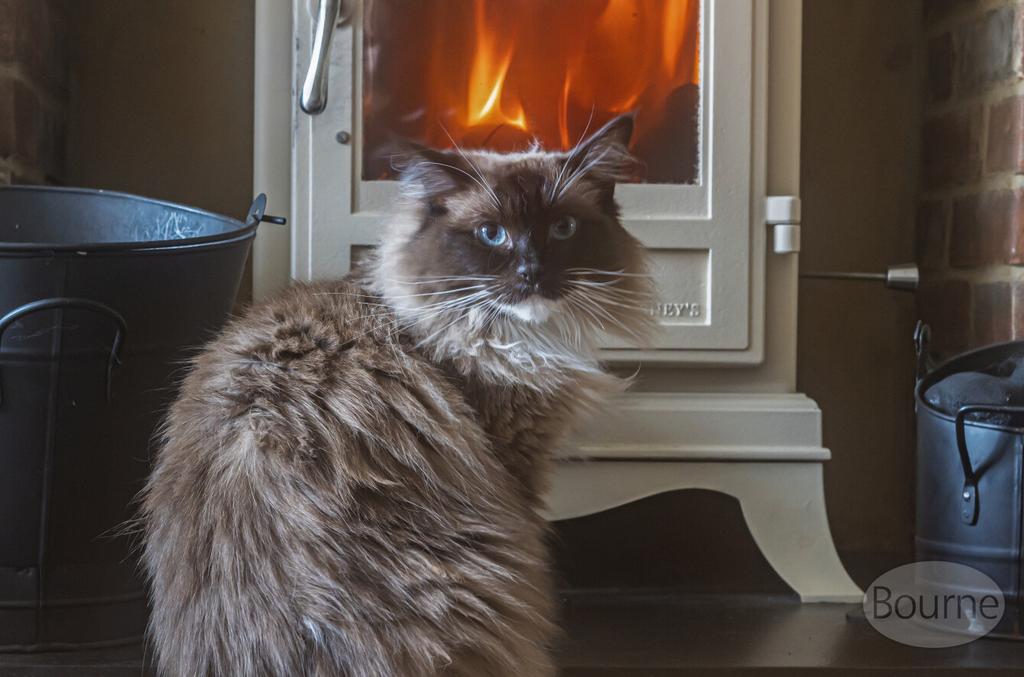 Bee08676-ec07-4dc...