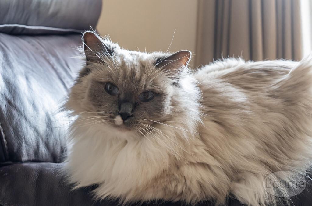 2cc390f1-3cda-467...