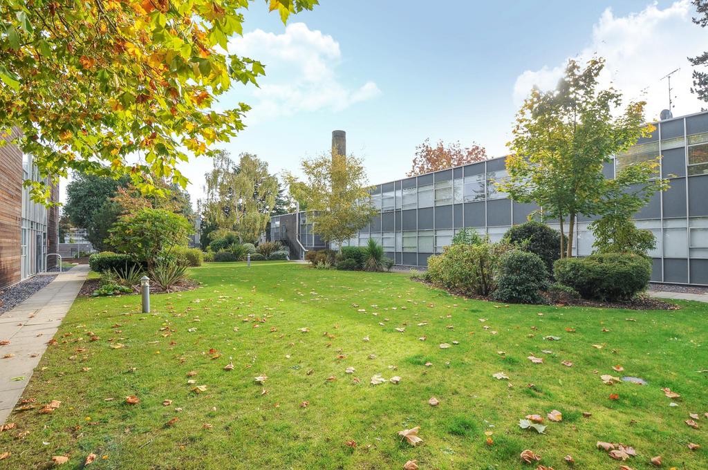 Grounds