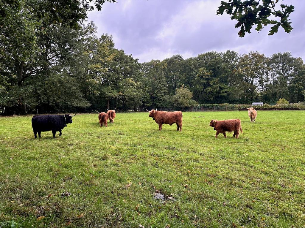 Fields opposite