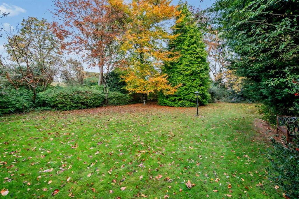 Garden.jpg