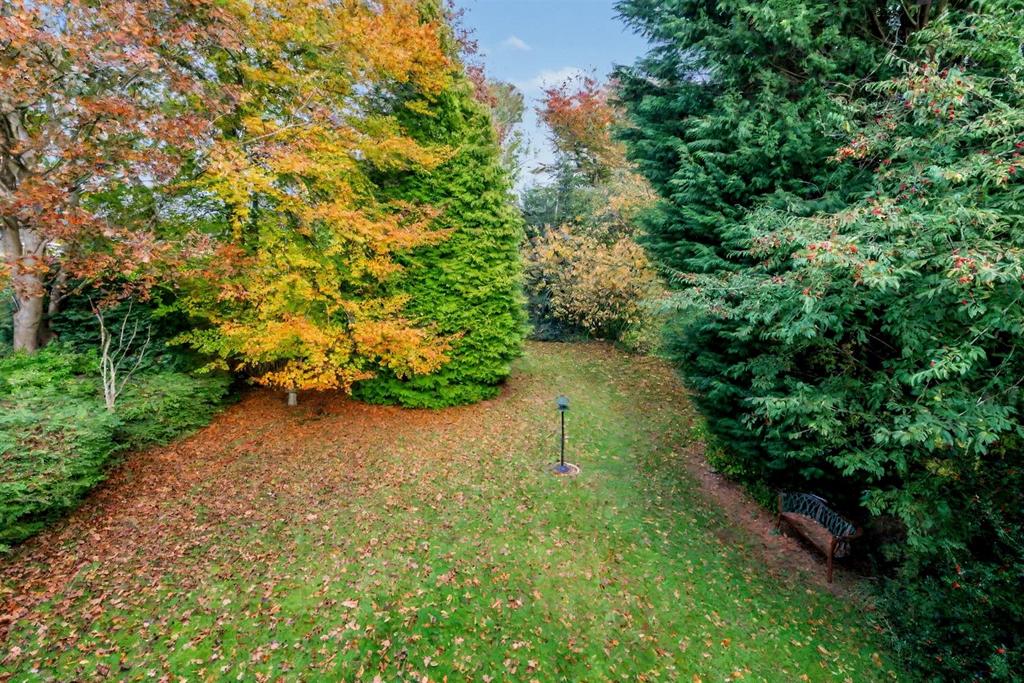 Garden (3).jpg