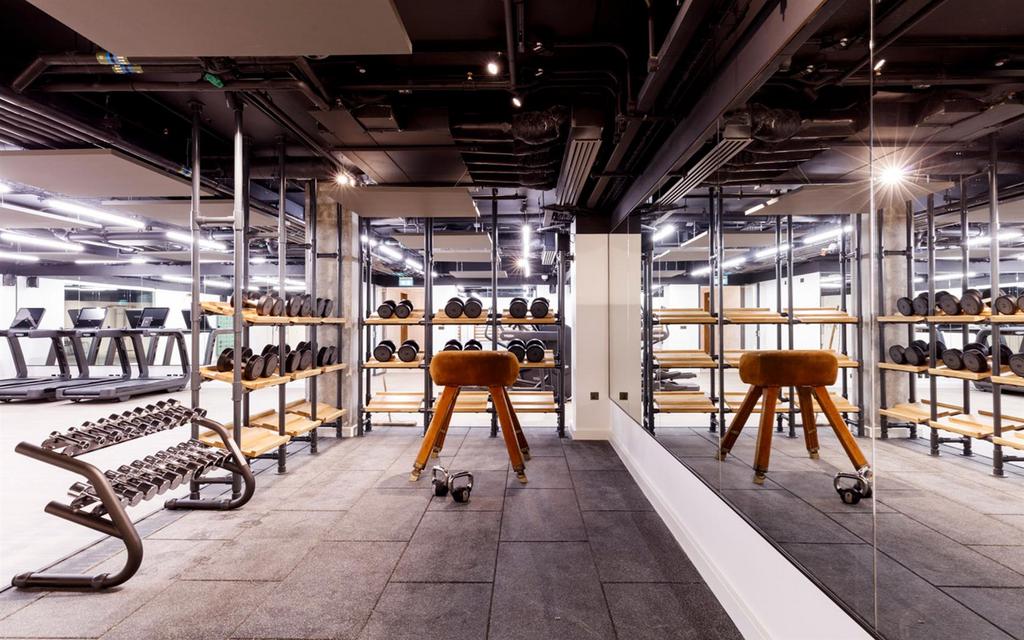 4. the spring gym.jpg