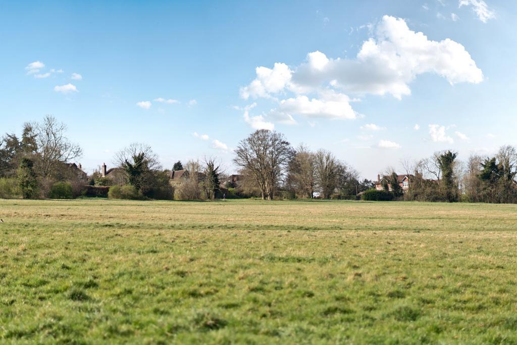 Merrow Downs
