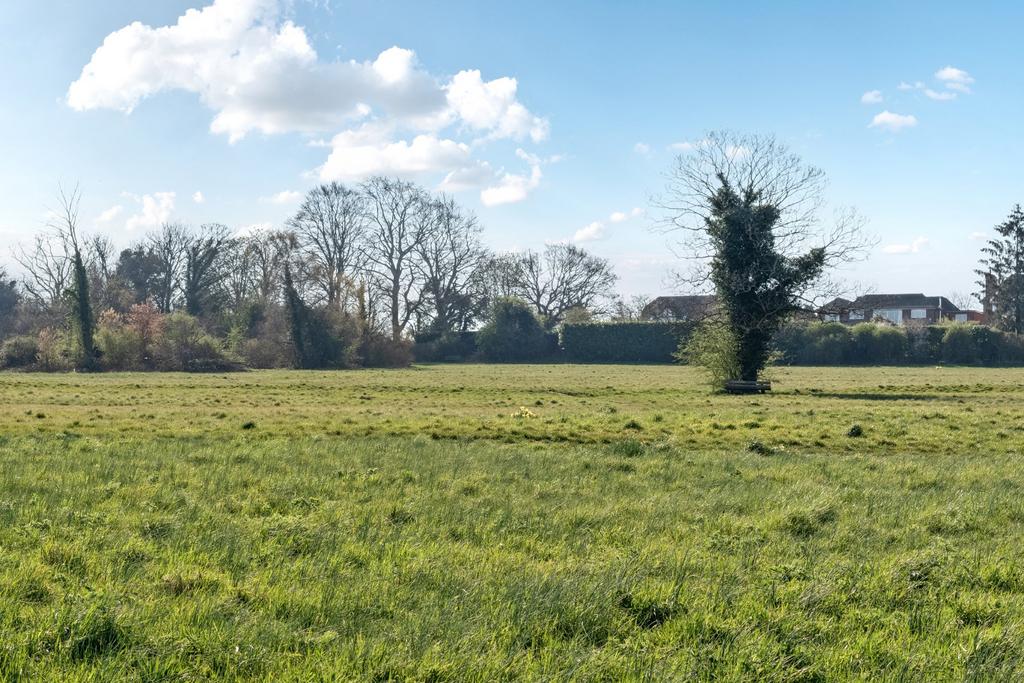Merrow Downs