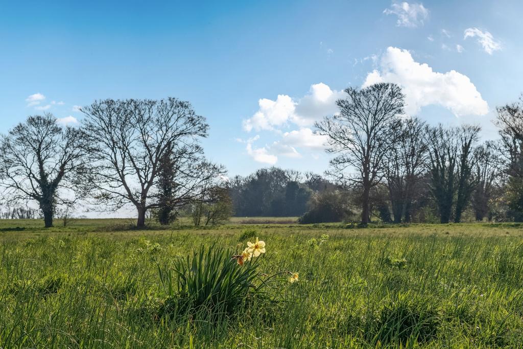 Merrow Downs