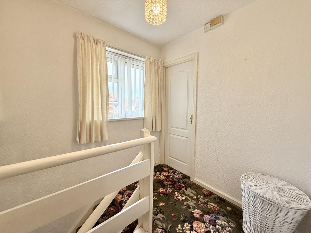 Img 1776