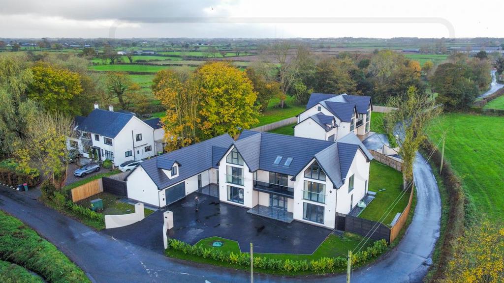 Dji fly 20251024 094726 433 1761295774565 photo op