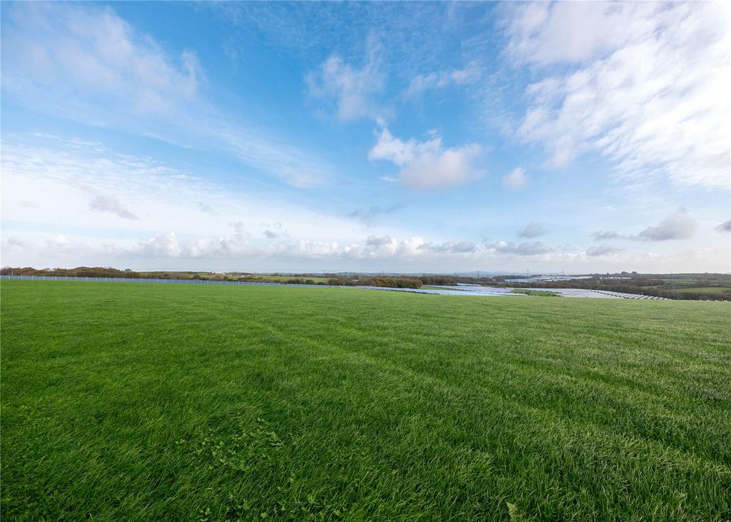 Pasture
