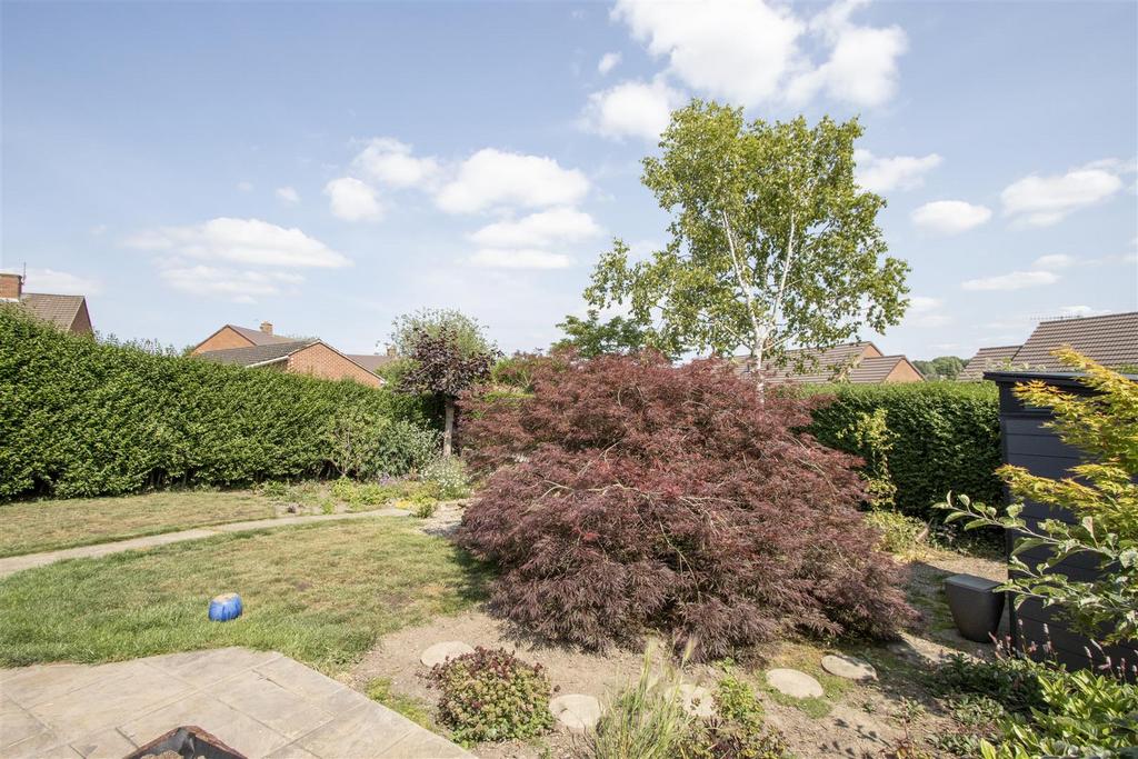 Rear Garden 2