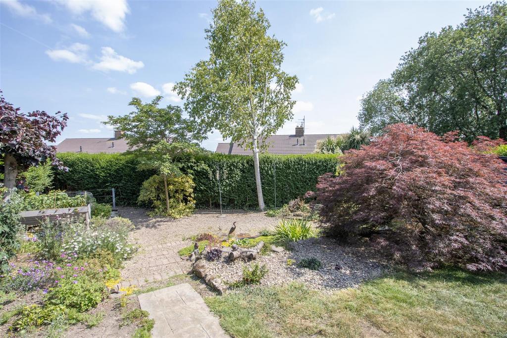 Rear Garden 3