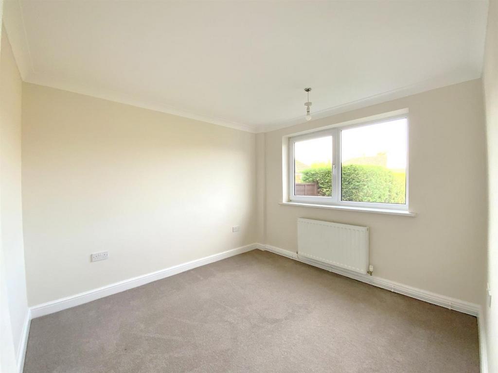 Resized IMG 5873.jpg