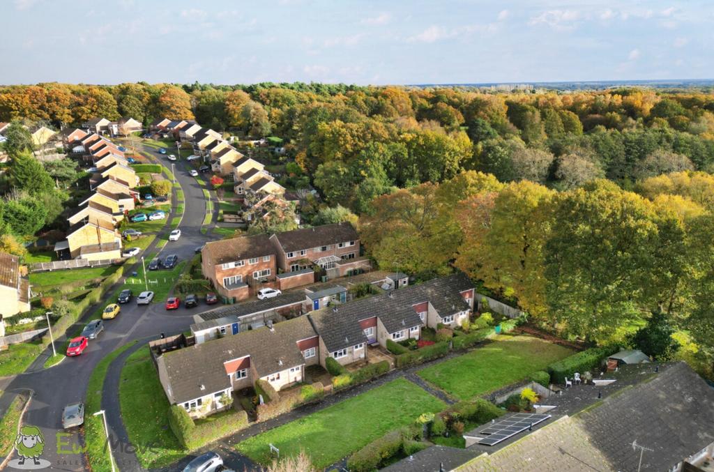 Drone Imagery