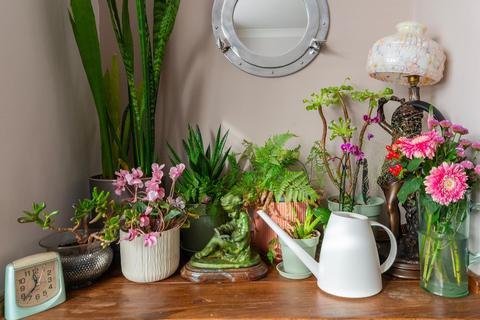 undefined, Vauxhall Terrace, Southville