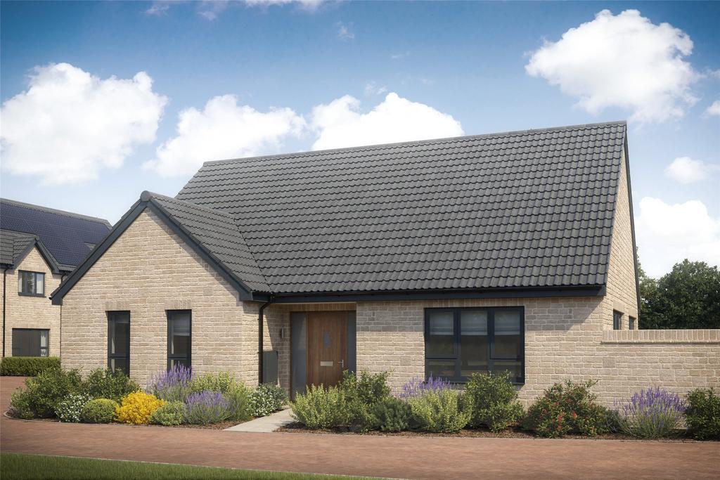 Meadowbank Cgi