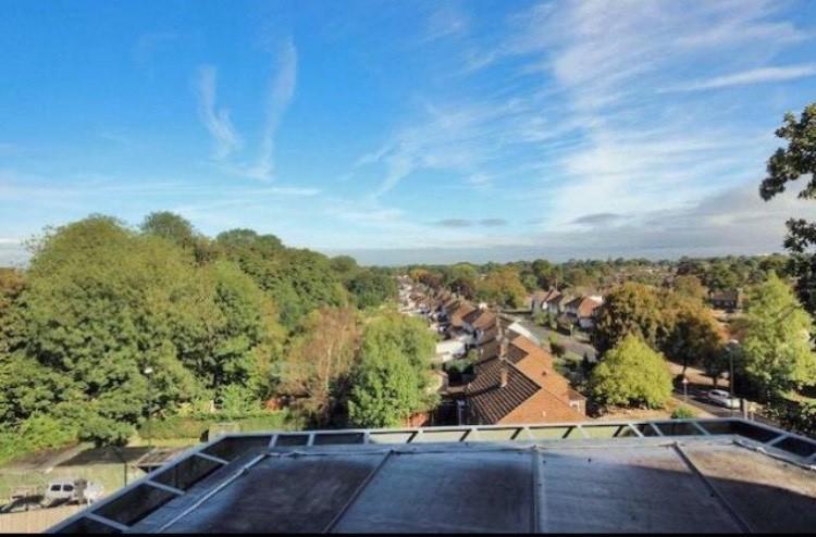 Thumbnail IMG 4321.jpg