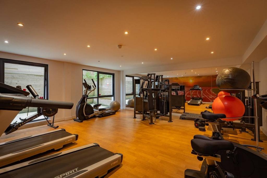 Well-equipped private gym with treadmills, bike...