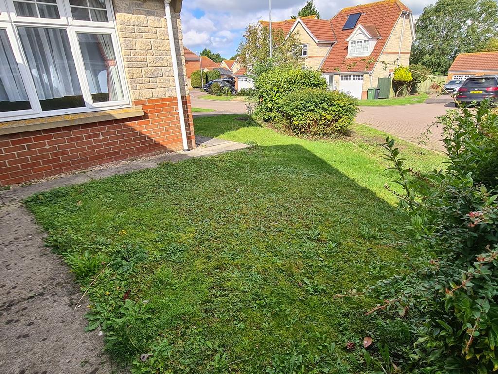 Front Garden Area