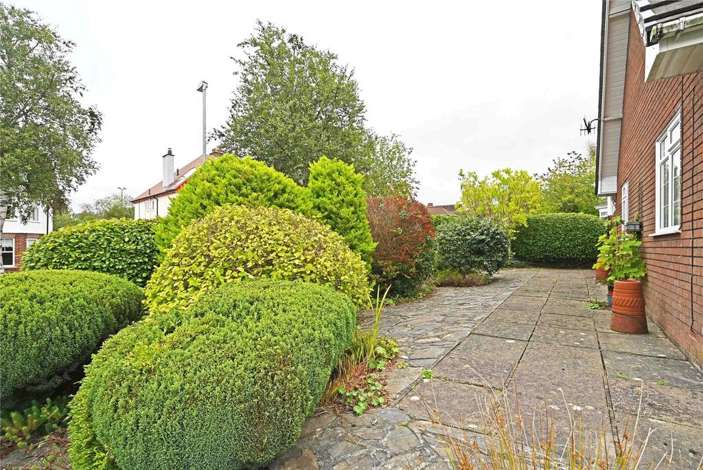 Northern Garden