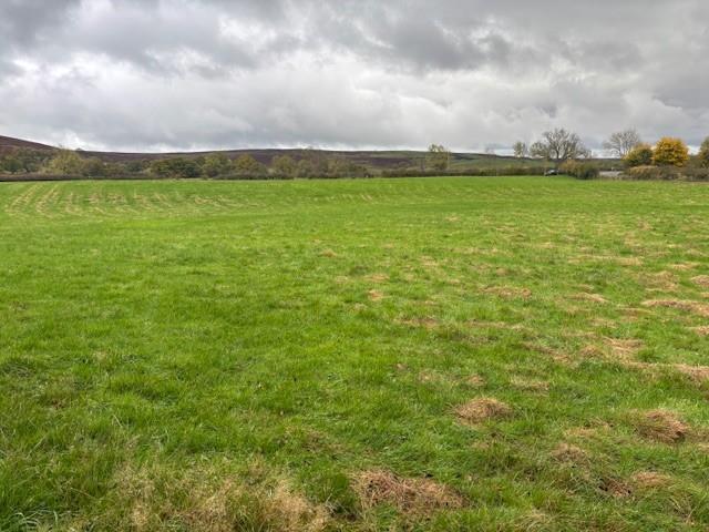 Photo 4.jpg
