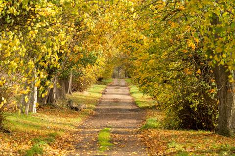 undefined, Ford Lane, Colchester CO7