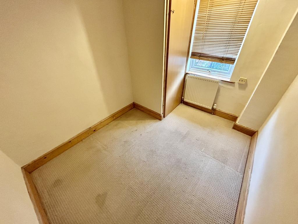Img 1487