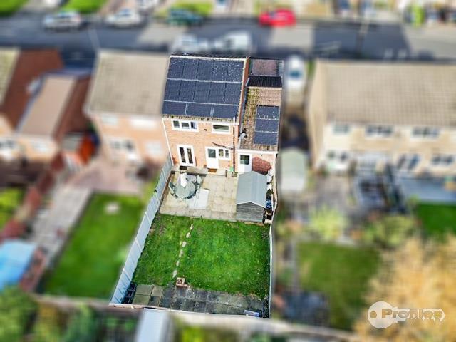 AERIAL.jpg